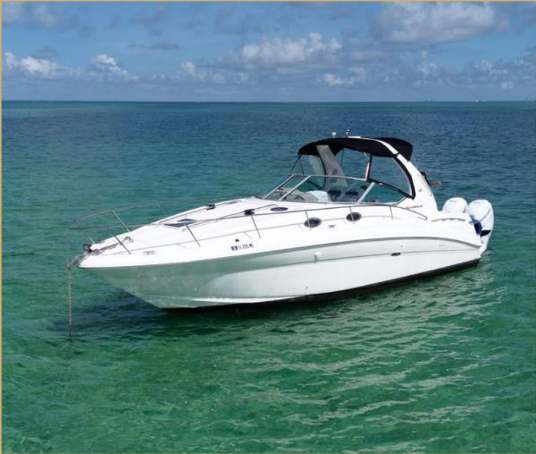 Cruiser 37'